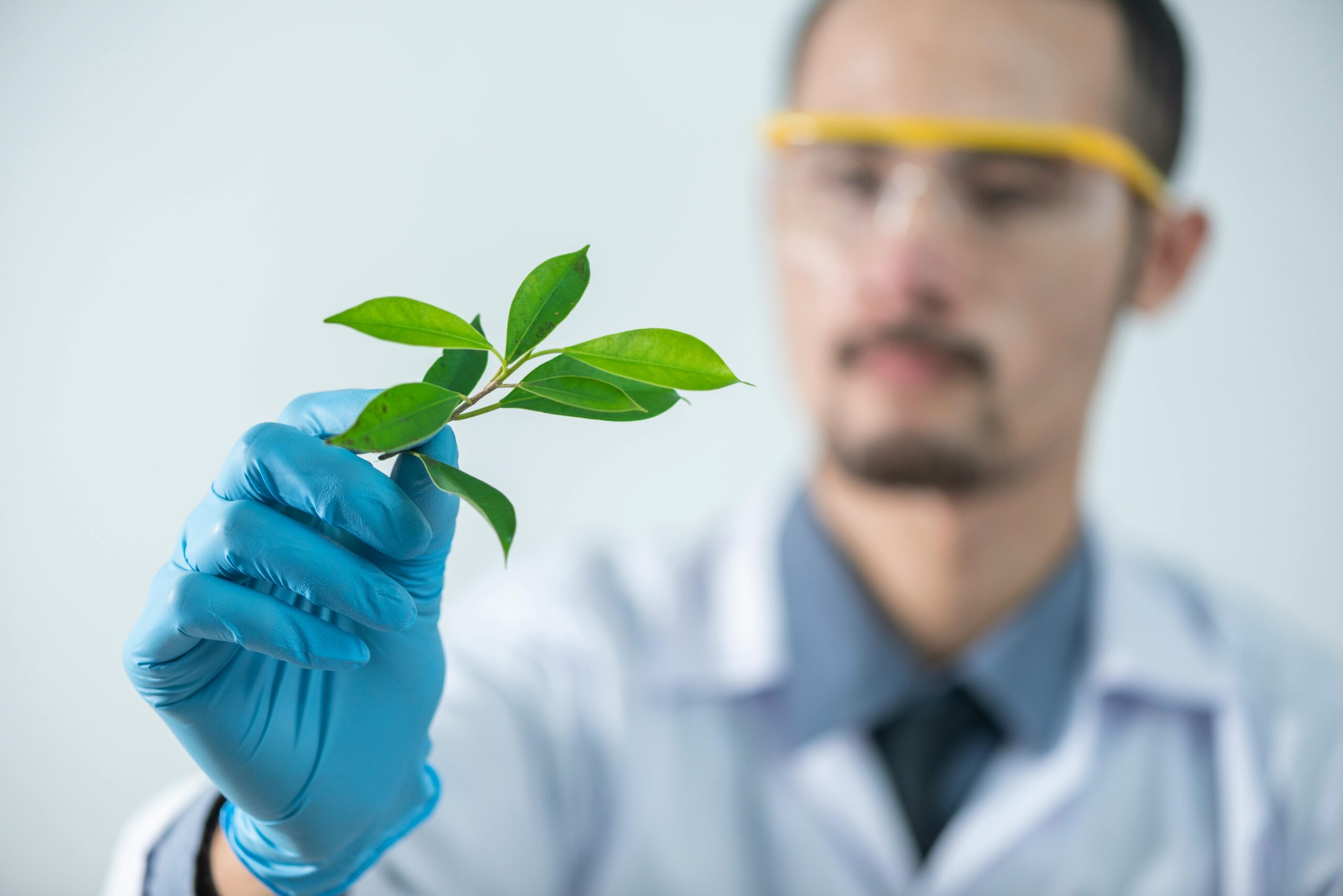 Plantas medicinales y biotecnología: una alianza poderosa